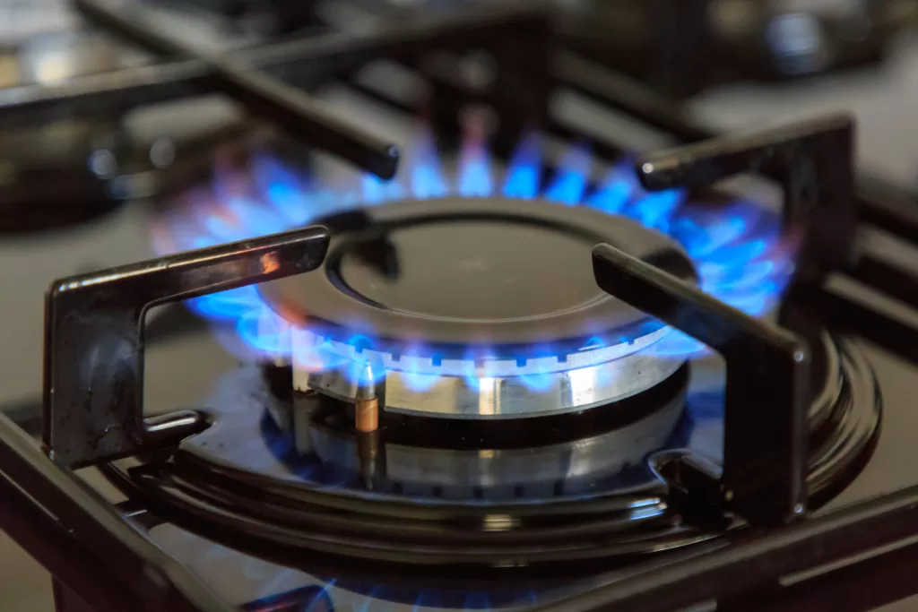 Gas hob burner