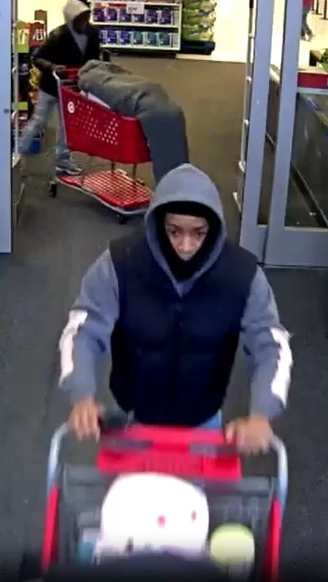 (Photo Courtesy of SCPD) This person is wanted for stealing merchandise from a Target store in Huntington Station back in January.