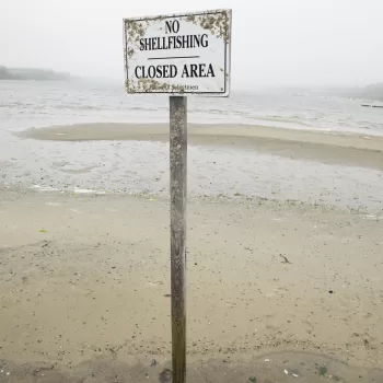 No Shellfishing sign on beach in Chatham, Massachusetts on Cape Cod.