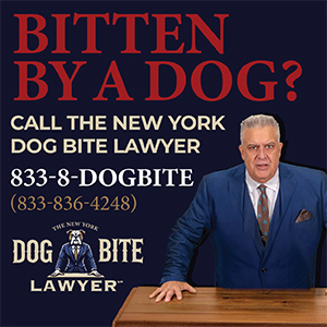 The New York Dog Bite Lawyer - Blame the Owner, Not the Dog!