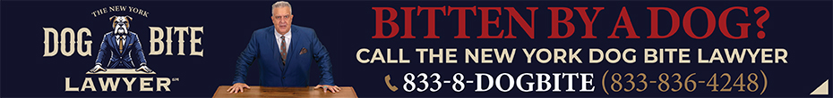 The New York Dog Bite Lawyer - Blame the Owner, Not the Dog!